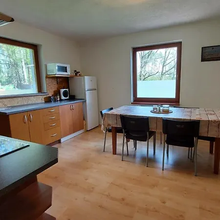 Pod Lesem Apartment